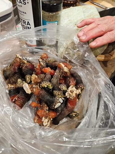 Customer photo review of Portuguese Gooseneck Barnacles