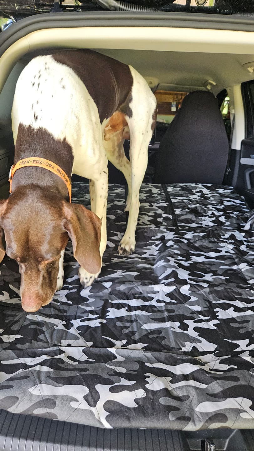 Customer photo review of SUV Cargo Liner for Fold Down Seats - Large