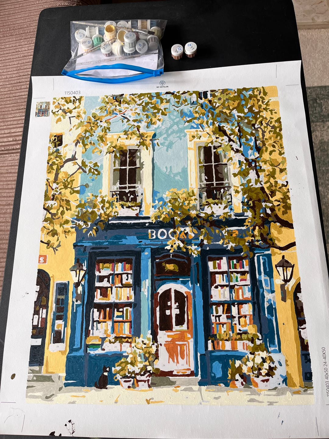 Customer photo review of The Blue Bookshop | Paint by Number
