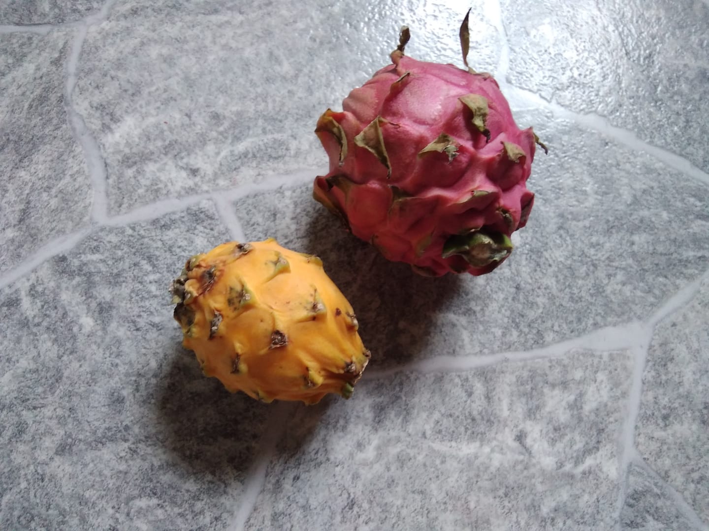 Customer photo review of Drachenfrucht Mix Bio & wild Sonderaktion %