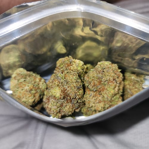 Customer photo review of Formula One THCA Flower
