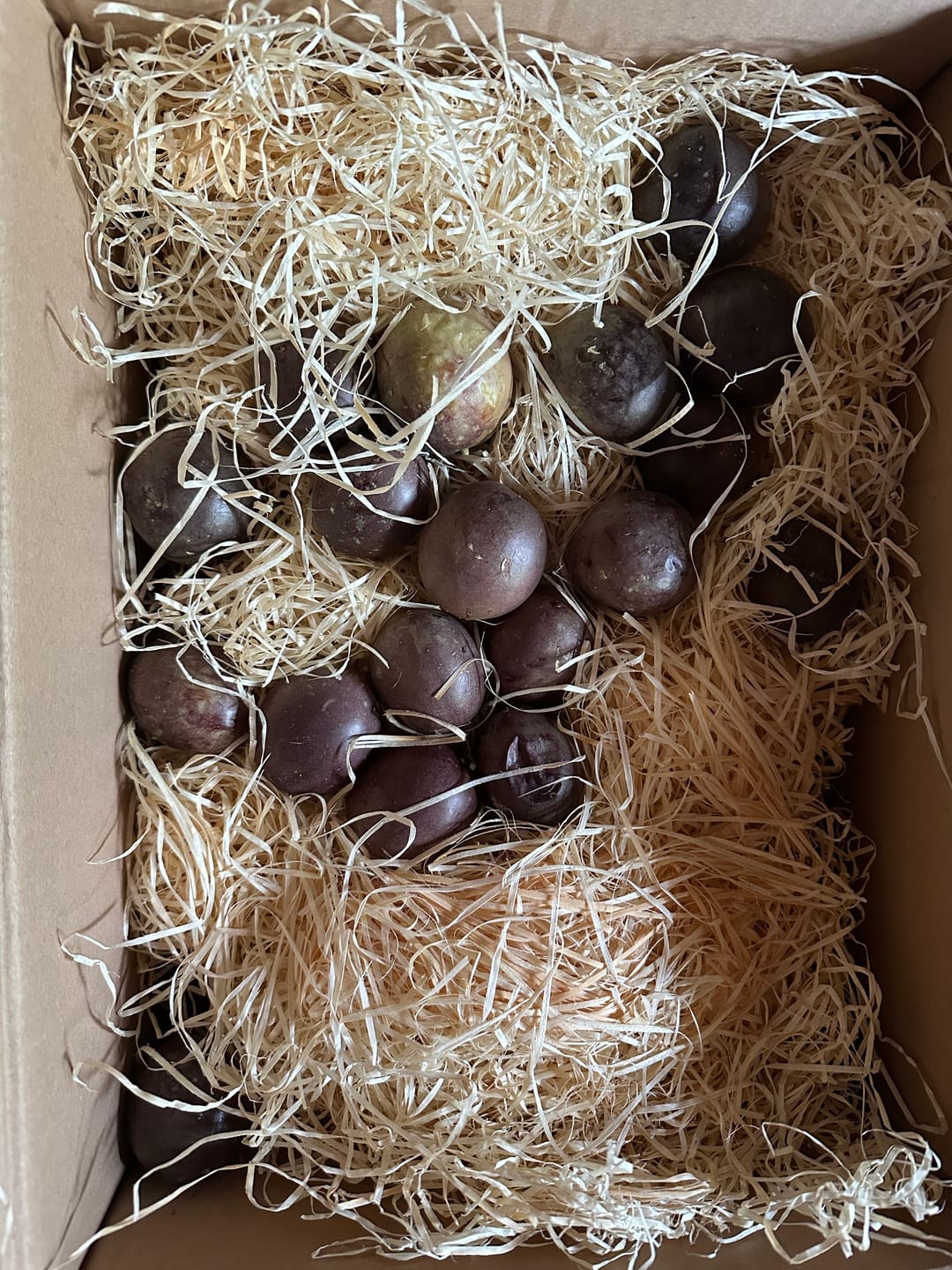 Customer photo review of Drachenfrucht Mix Bio & wild Sonderaktion %