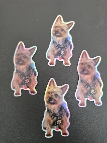 Customer photo review of 100 2.5" Custom Holographic Stickers