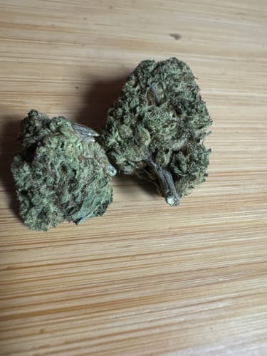 Customer photo review of Slapz Mediums - Bulk Mediums - Hybrid