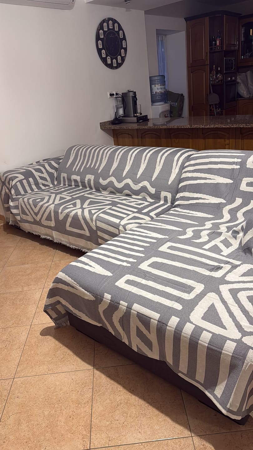 Customer photo review of Pet Couch Covers
