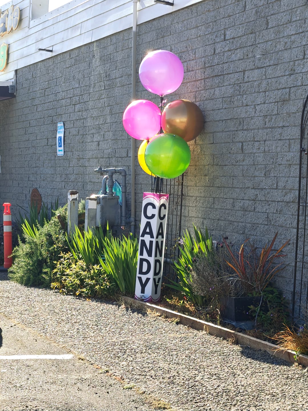 Customer photo review of Gold DuraBalloon®