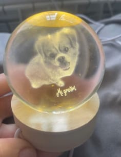 Customer photo review of Personalized Sphere