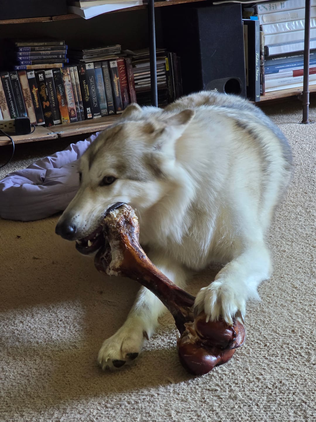 Customer photo review of Smoked Dinosaur Bones