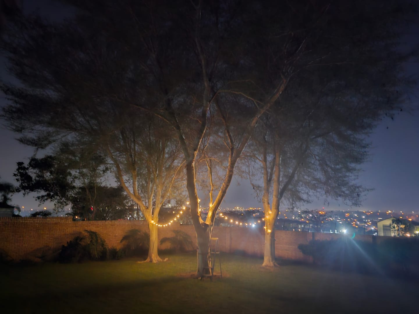 Customer photo review of Solar Mini Bulb String Lights
