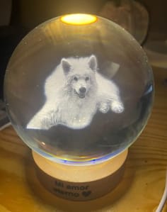 Customer photo review of Personalized Sphere