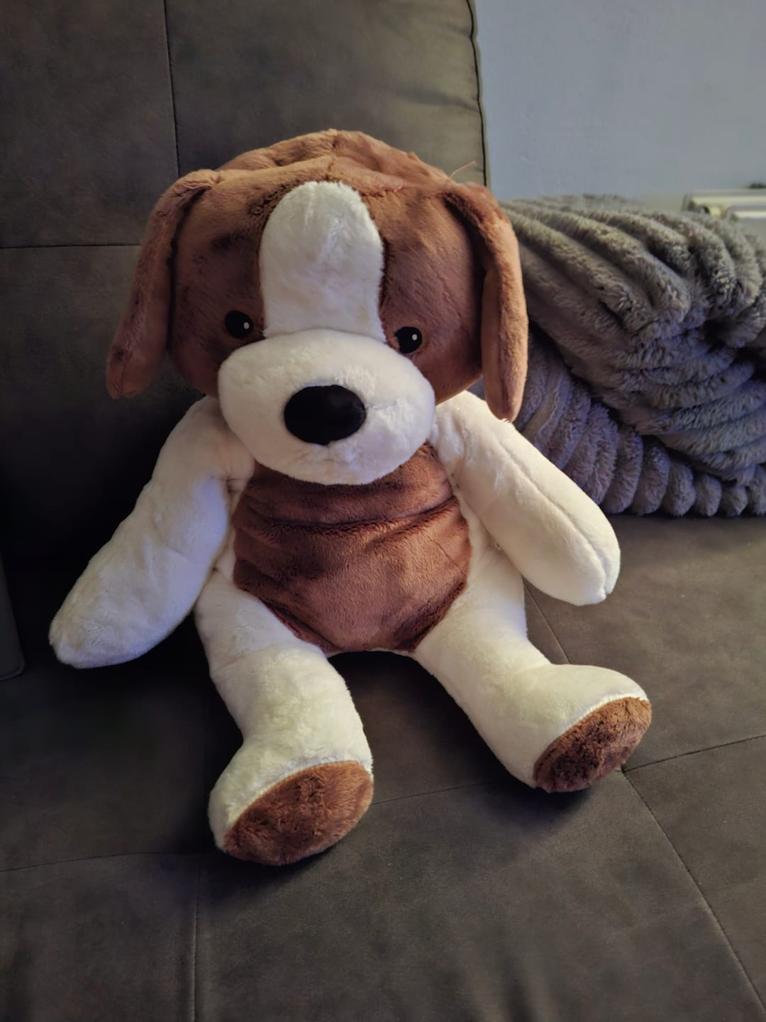 Customer photo review of Lotgenootje Hond 2kg