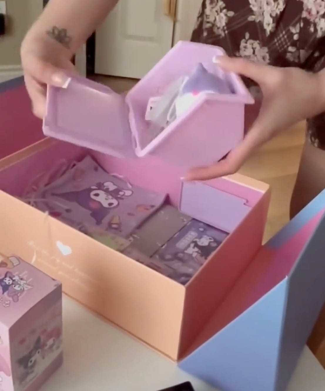 Customer photo review of Sanrio Mystery Gift Box