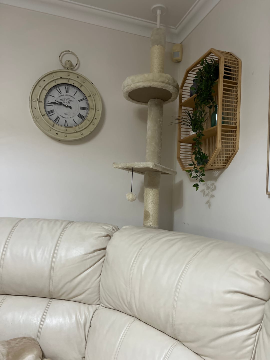 Customer photo review of Floor to Ceiling Cat Tree 230-275cm