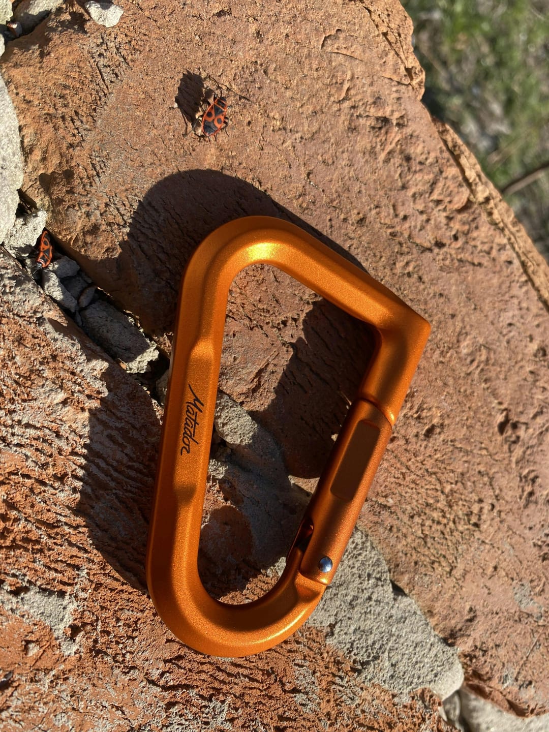 Customer photo review of BetaLock