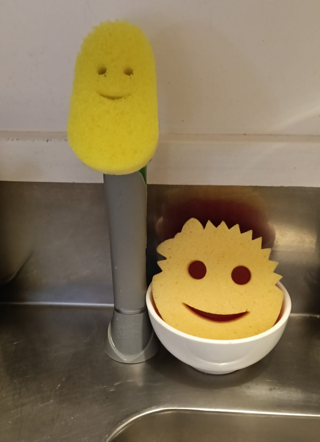 Customer photo review of Dish Daddy Complete Setup
