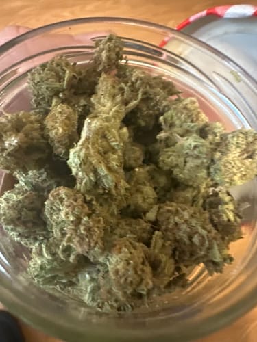 Customer photo review of Blueberry Muffin THCA Flower