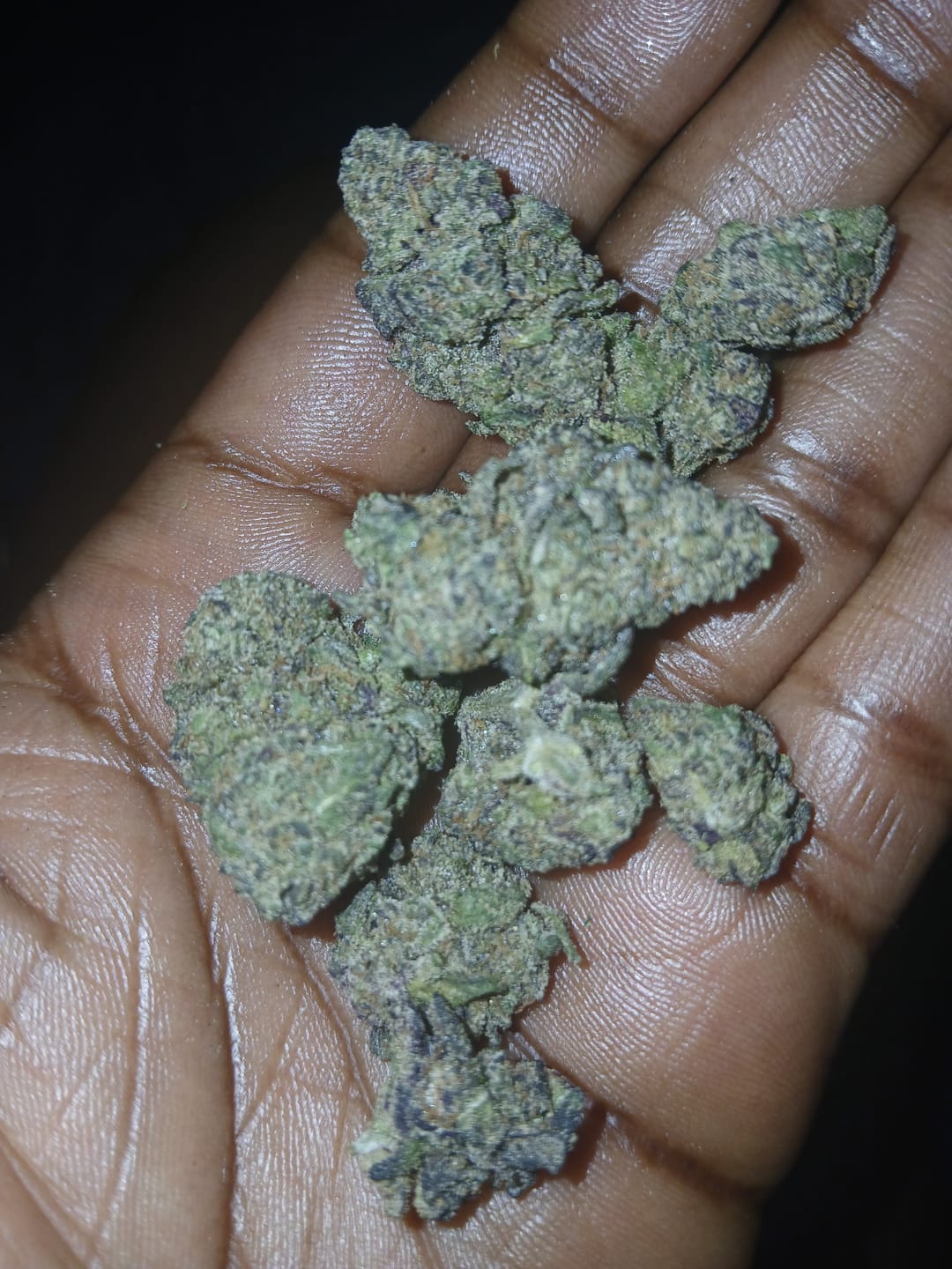 Customer photo review of Pink Runtz Exotic THCA