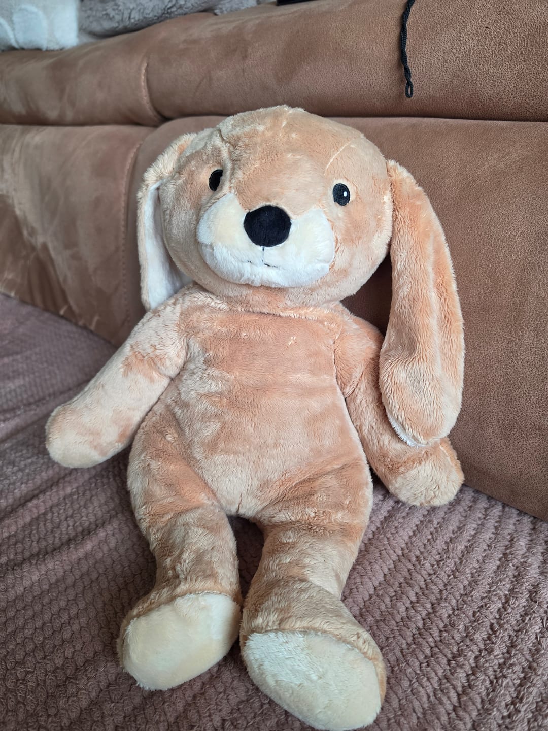 Customer photo review of Lotgenootje Konijn 2kg