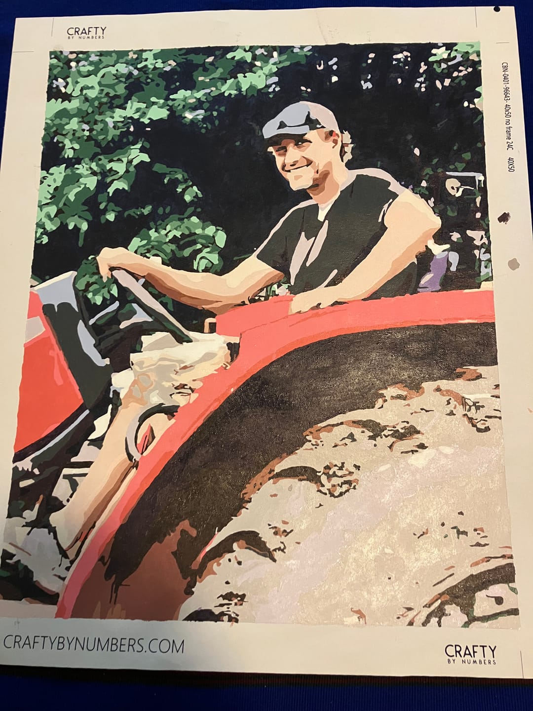Customer photo review of Custom Paint by Numbers From Your Photo — Order Online