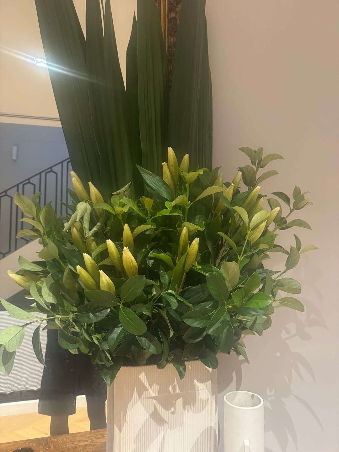 Customer photo review of Closed lily bud