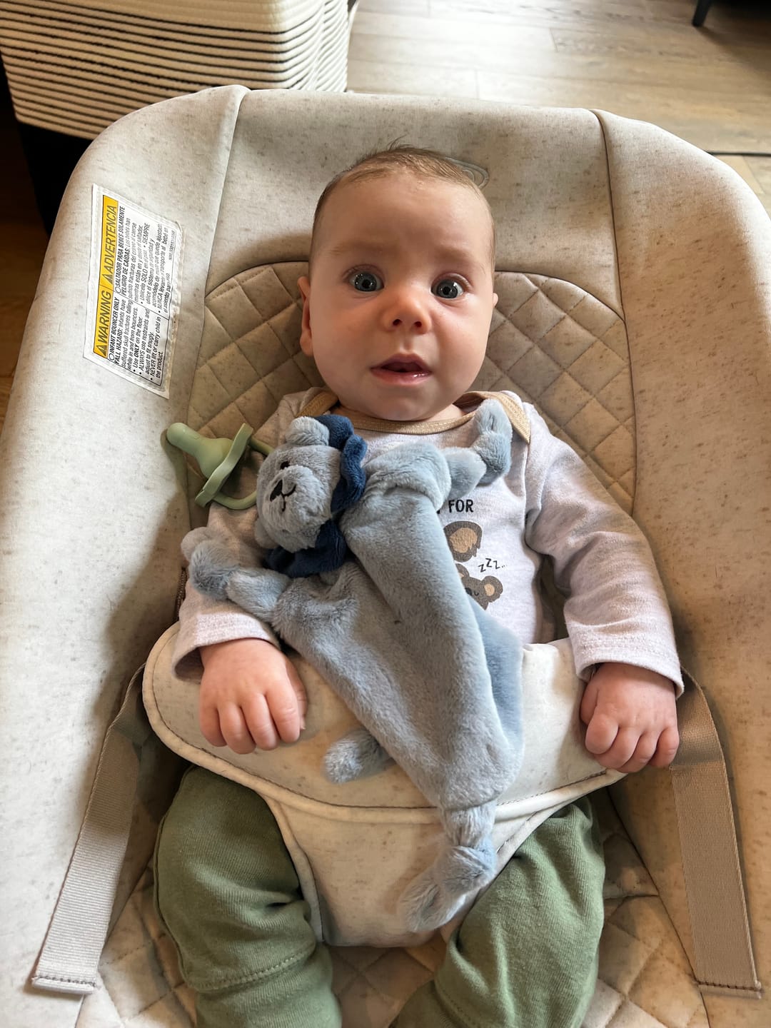 Customer photo review of Pacifier Buddy Leo the Lion