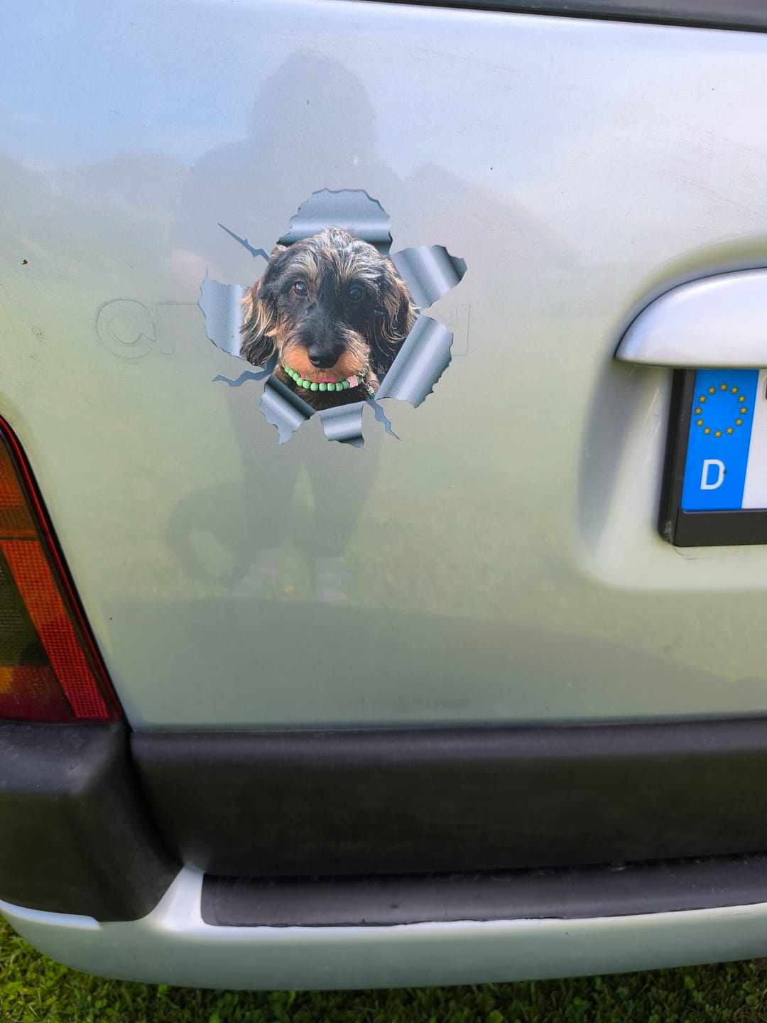 Customer photo review of Personalisierter Autoaufkleber - Spähendes Foto