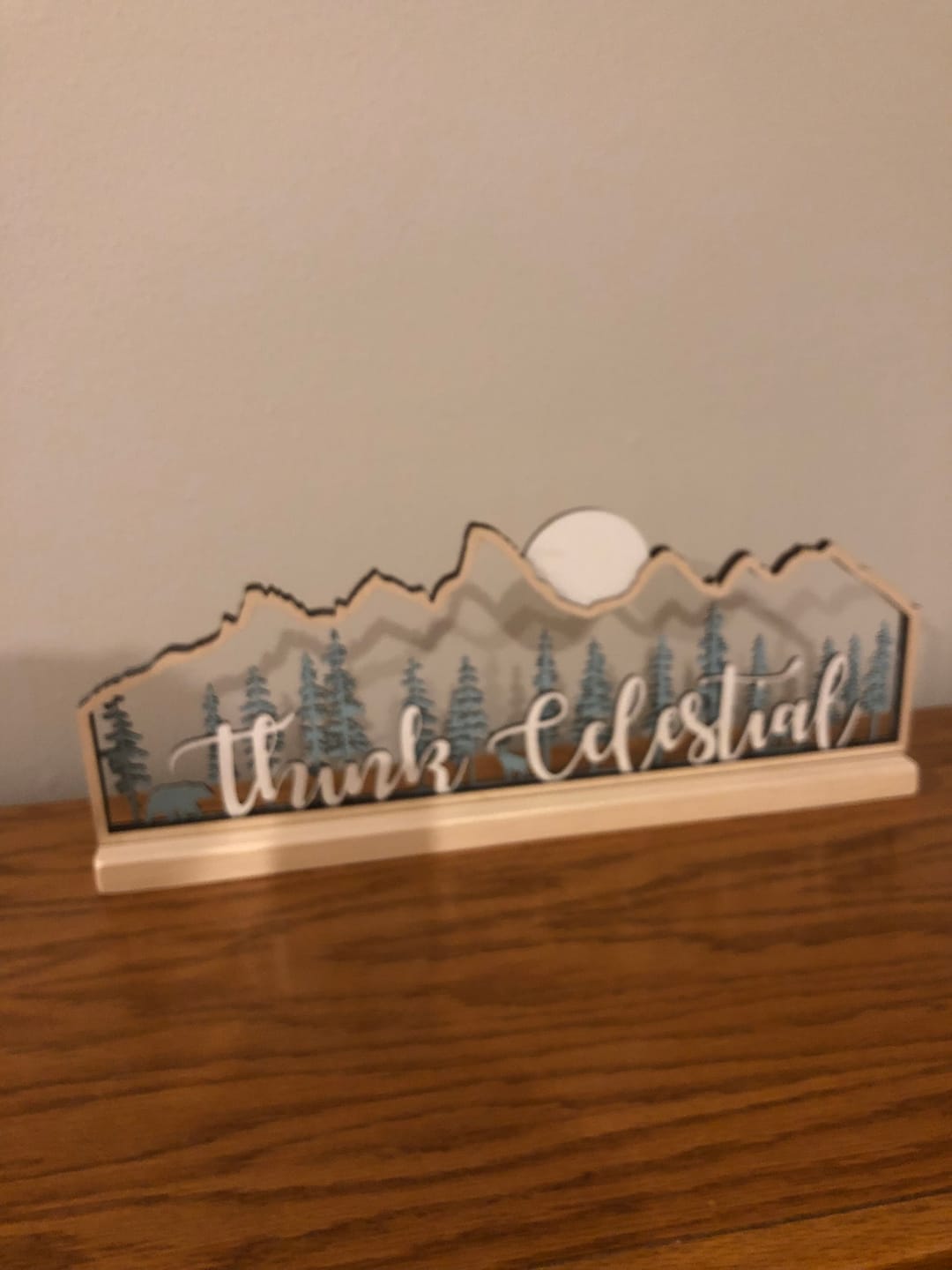 Customer photo review of Think Celestial Teton Mountains