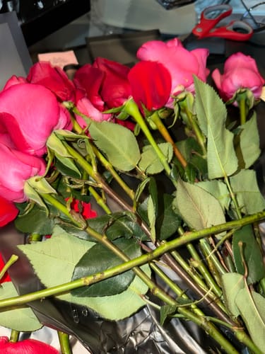 Customer photo review of Red & Hot Pink Rose Bouquet