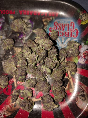 Granddaddy Purple - Minis - 28 Grams - Indica photo review
