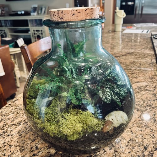 Customer photo review of Size 52 Natural Jar Corks
