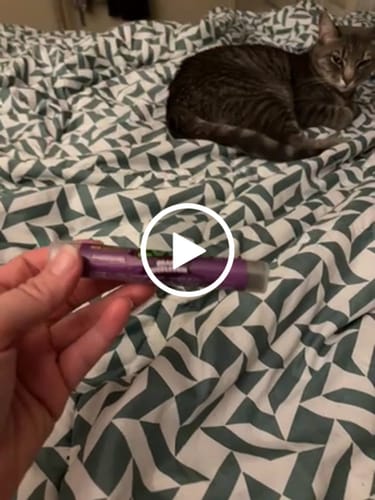 Customer video review of THCA GRAPE BUBBLEGUM HASH HOLE