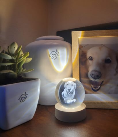 Customer photo review of Personalized Sphere