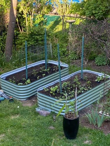 Reviewer's two 17” Tall Modular garden beds installed in a backyard, filled with soil and starter plants.