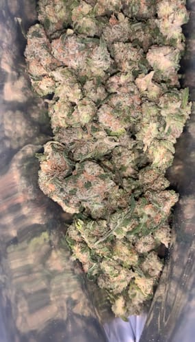 Customer photo review of Bulk THCA Smalls