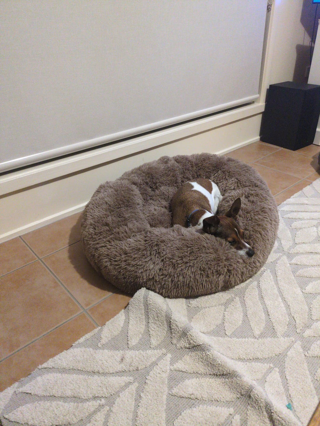 Customer photo review of Calming Pet Bed Machine Washable