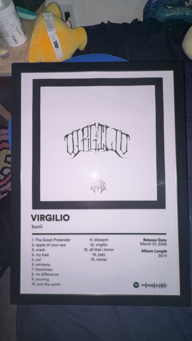 Customer photo review of bunii Album Posters
