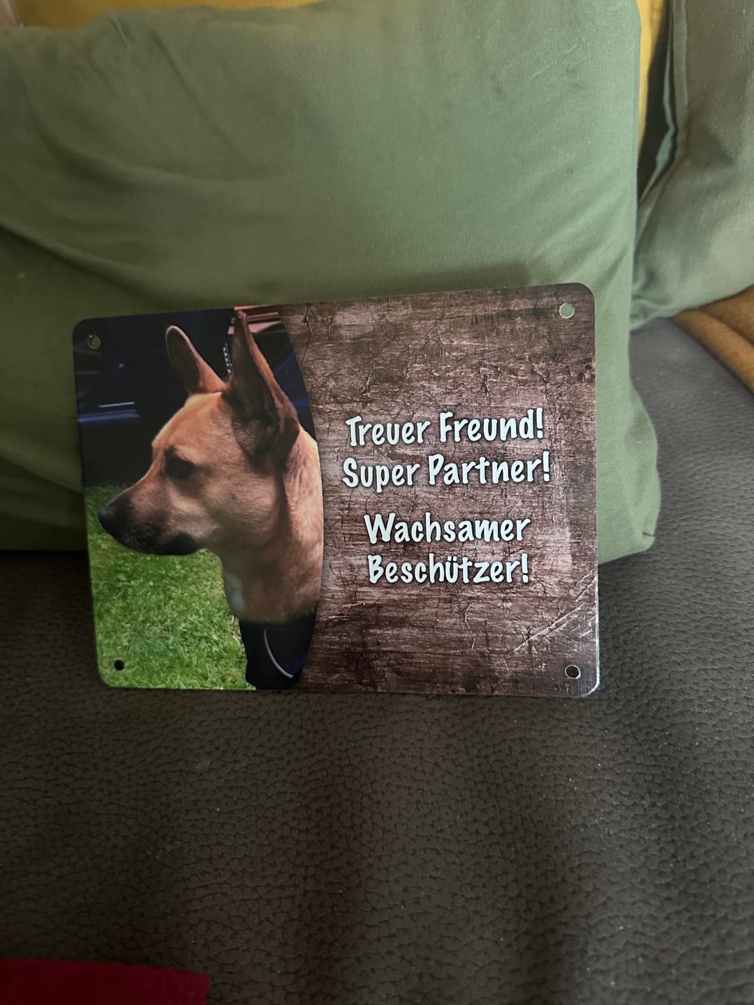 Customer photo review of Hunde-Türschild personalisiert mit Foto & Text (UV- und wetterfest)