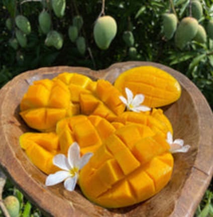 Customer photo review of Mango Mix Box