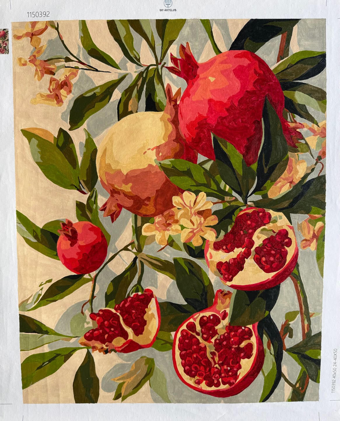 Customer photo review of Blooming pomegranates | Paint by Number