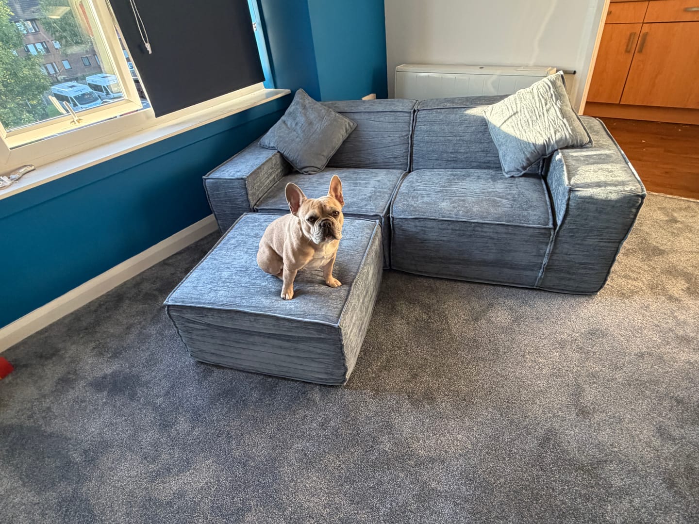 Customer photo review of M1 Sofa Cosy Suite