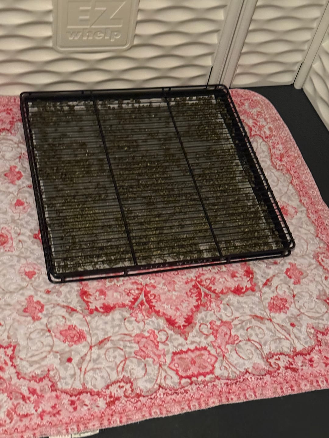 Customer photo review of Little Wolves Potty Tray 22" x 22"