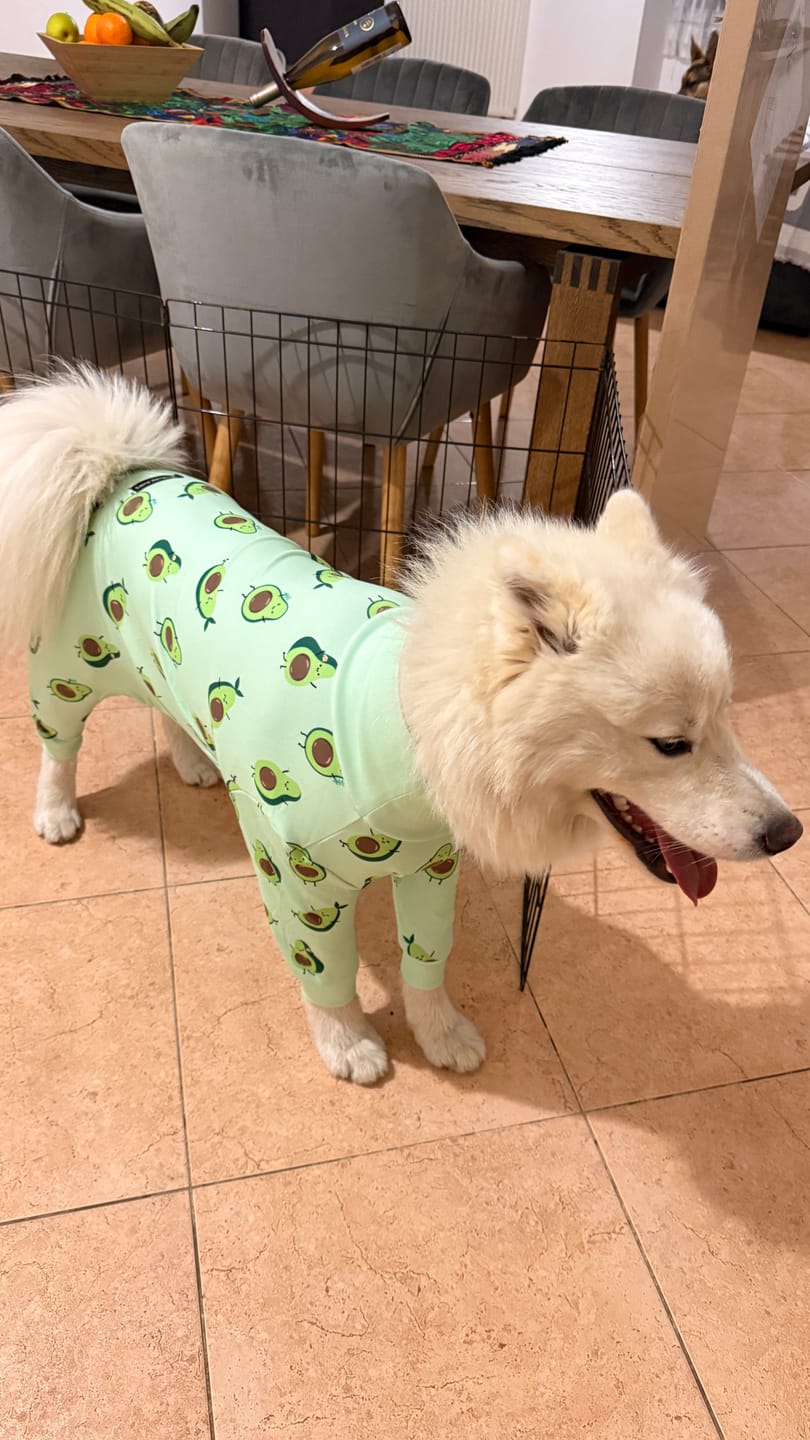 Customer photo review of Dog Pajama - Avocado