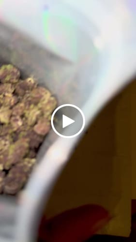 Customer video review of Granddaddy Purple - 28 Grams Littles - Indica