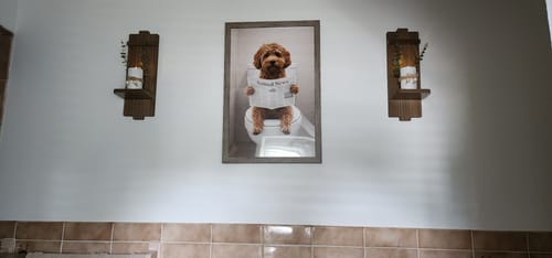 Customer photo review of Framed Poster