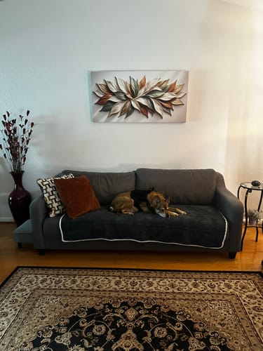 Customer's Earthtone Petals canvas hung on a living room wall above a gray sofa.