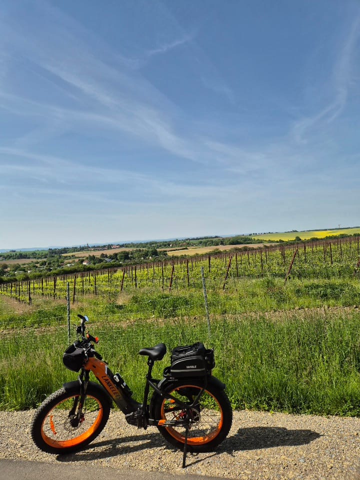 Customer photo review of Vakole Waterproof Bike Rack Bag With Large Capacity (17-35L)
