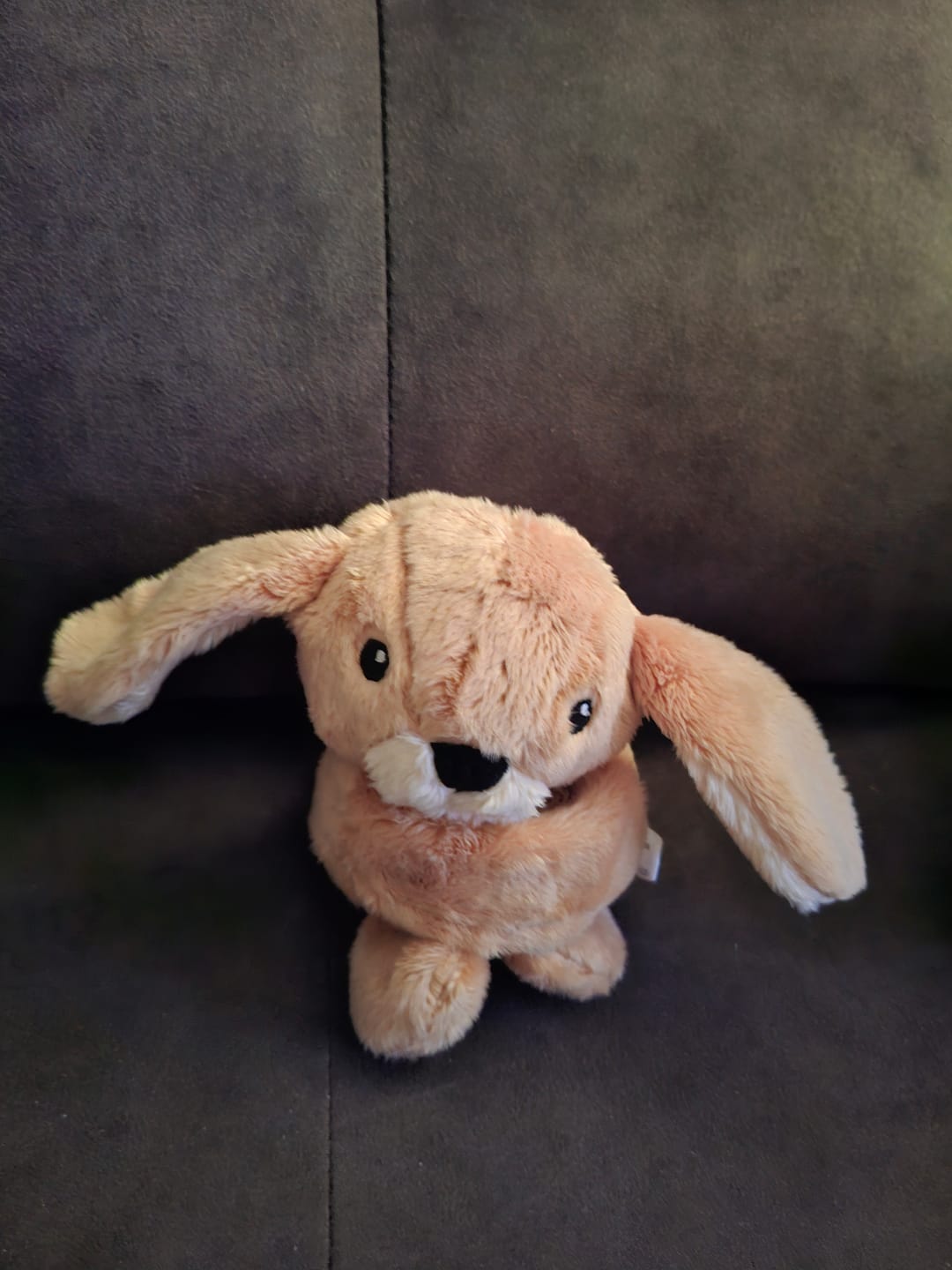 Customer photo review of Mini Lotgenootje Konijn