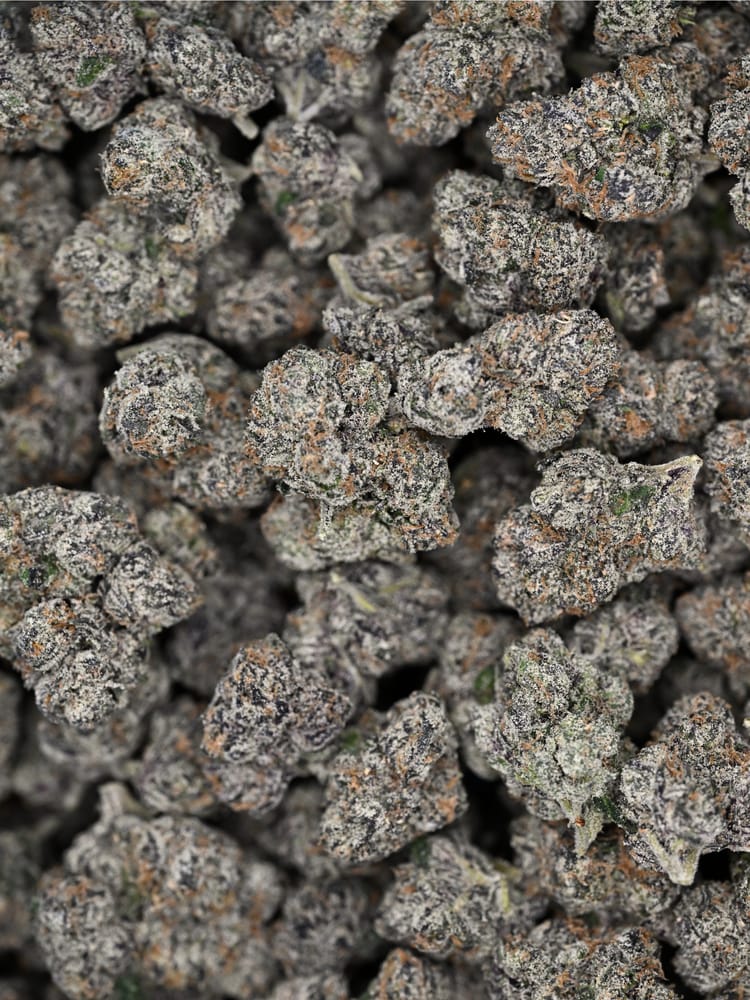 Customer photo review of Velvet Skunk
