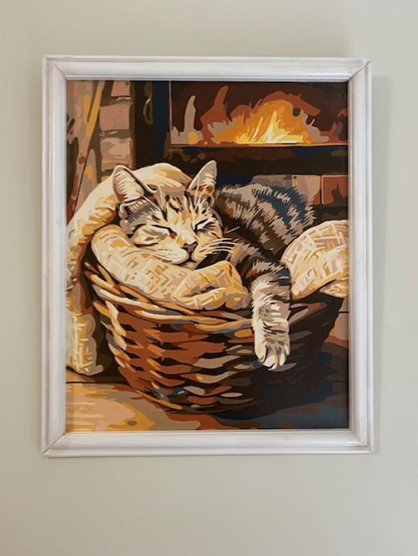 Customer photo review of Bascat