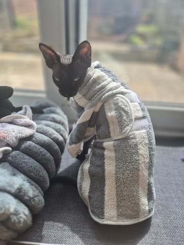 Customer photo review of 1 Month Supply – 1 Cat